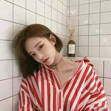 女神探宝盖丁