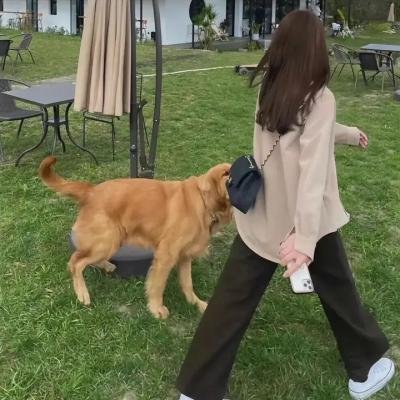 惊艳布鲁哲尔